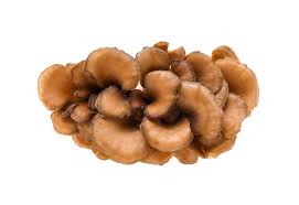 Maitake Mushrooms