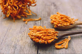Cordycep Mushrooms