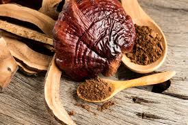 Reishi Mushrooms